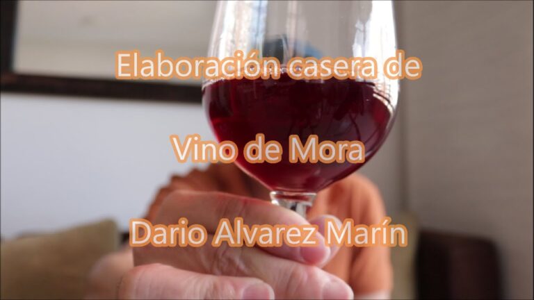 Las Mejores Opciones para Disfrutar una Copa en Mora