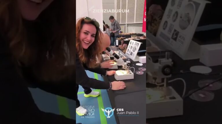 Centros de Formación Profesional en Madridejos