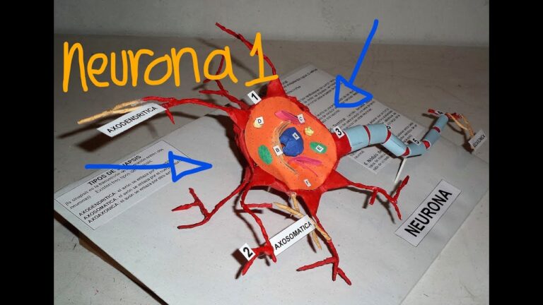 Mejores lugares para comprar juguetes educativos en Tembleque