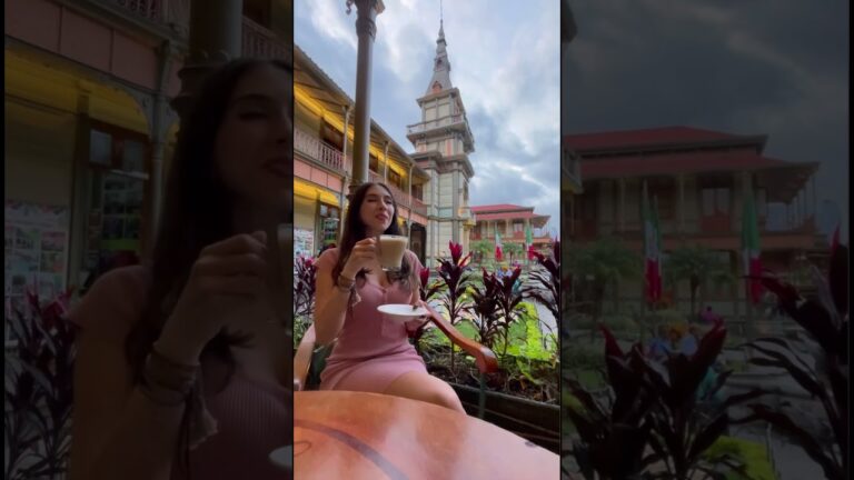 Los Mejores Caf&eacute;s en Tembleque