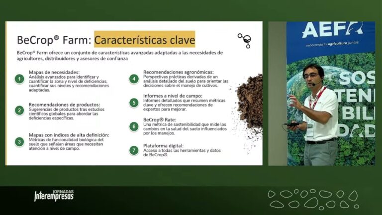 Guía de compra de productos para cultivo hidropónico en Madridejos