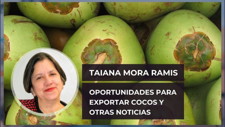 Mercados de Productos Frescos en Mora