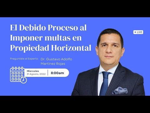 Normativas Esenciales para Dueños de Perros en Mora