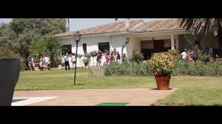 Servicios de Catering en Torrijos: Opciones y Recomendaciones