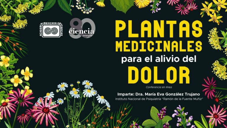 Tiendas de jardinería en Mora que ofrecen plantas medicinales