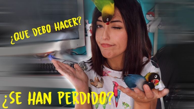 Guía para Comprar una Casa en Quintanar de la Orden